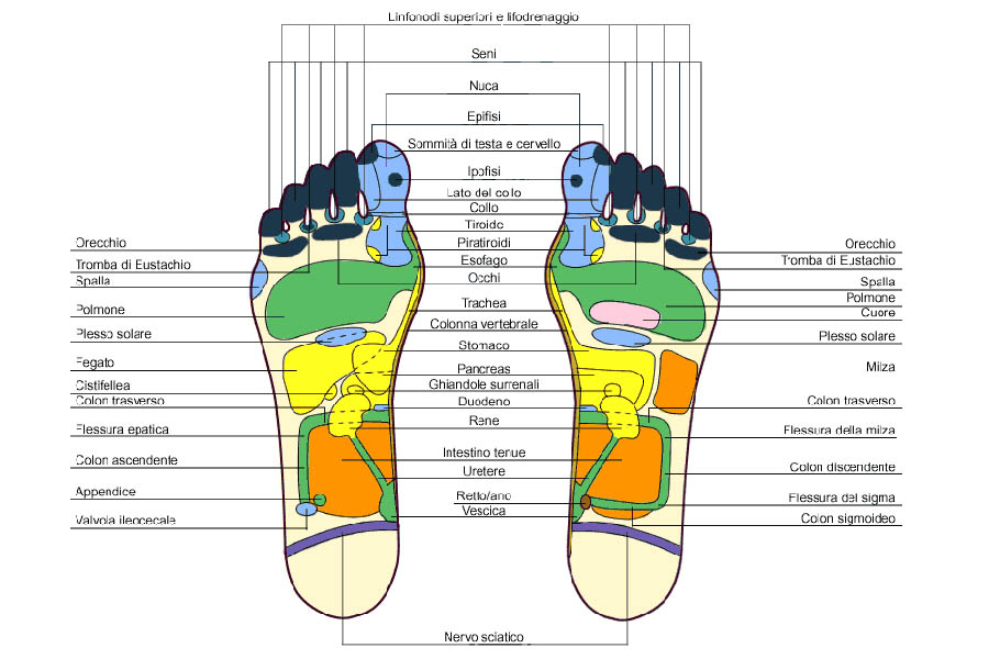 La riflessologia plantare è una tecnica di stimolazione puntiforme