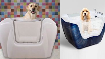 Vasca idromassaggio animali pet spa