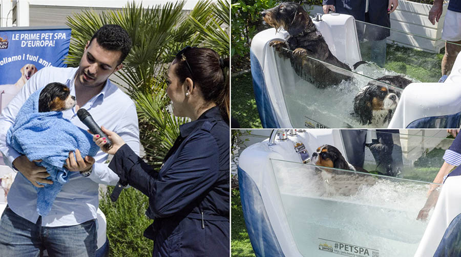 Beach Pet Spa