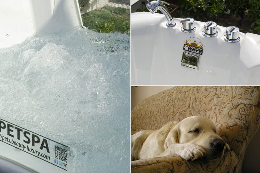 BL-580 pet spa idromassaggio per animali
