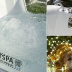 Christmas alle porte regala al tuo fido una pet spa
