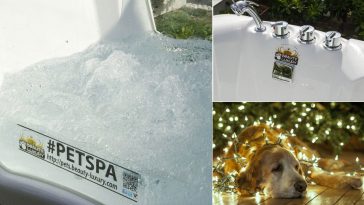 Christmas alle porte regala al tuo fido una pet spa