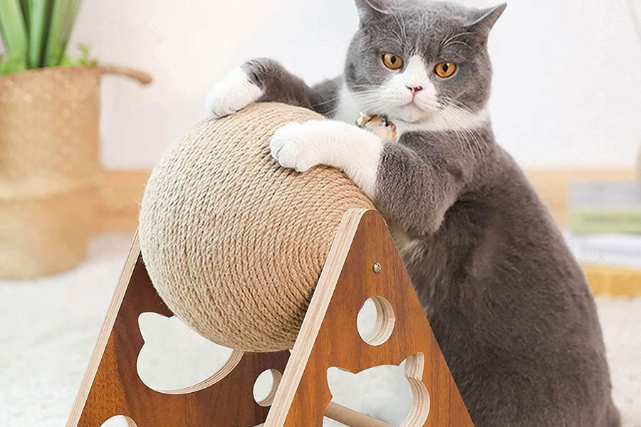 Giochino per gatti