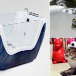 17 febbraio E' la giornata mondiale del gatto. Regala al tuo gattino una pet spa