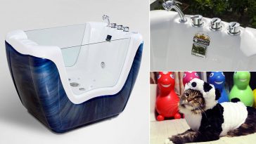 17 febbraio E' la giornata mondiale del gatto. Regala al tuo gattino una pet spa