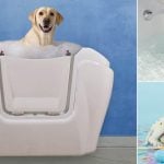 Pasqua 2017 cosa fare e cosa non fare per il bene del tuo cane