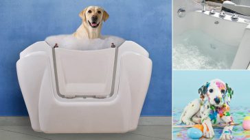 Pasqua 2017 cosa fare e cosa non fare per il bene del tuo cane