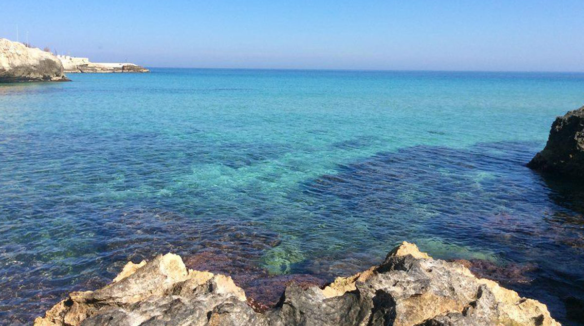 mare Monopoli B&B Bellariva a Monopoli