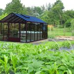 Minipiscina in the new orto giardino