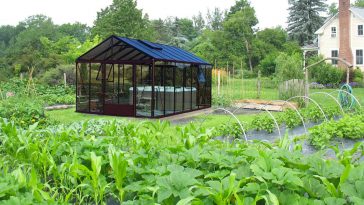 Minipiscina in the new orto giardino