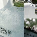 Pet spa animale iperattivo 7 consigli per stancarlo