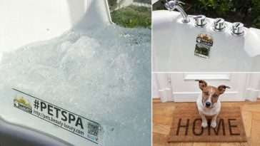 Idromassaggio domestico per chi animali in casa