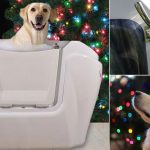 Natale 2018 con Pet Spa