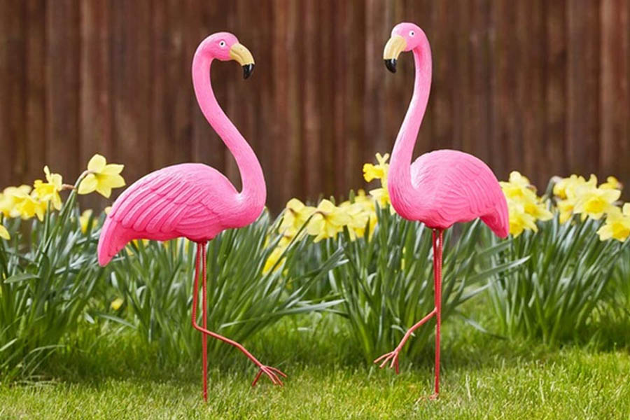 Flamingo mania