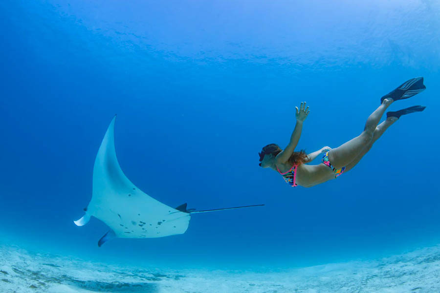 Emerald Maldives Resort diving